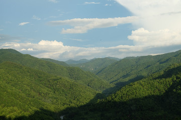 Green mountain after rain.