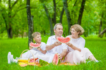 Happy family picnic. Grandparents and little boy eating watermelon in nature. Space for text