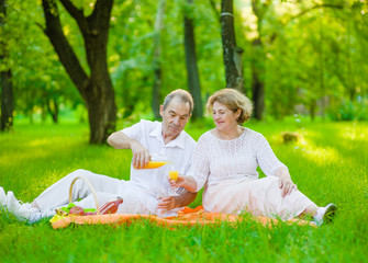 Elderly couple having a picnic in nature