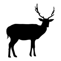 Naklejka na ściany i meble Deer with horns silhouette isolated on white background vector