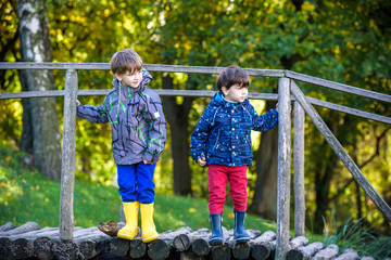 Two brothers sibling boy child crossing little wooden bridge in mountains.