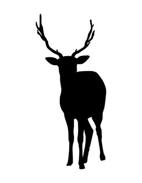 Silhouette of a deer with horns isolated on white background
