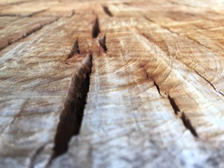 Wood Striations 