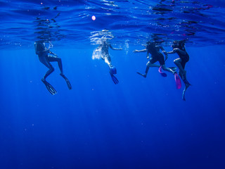 Nageurs en pleine mer