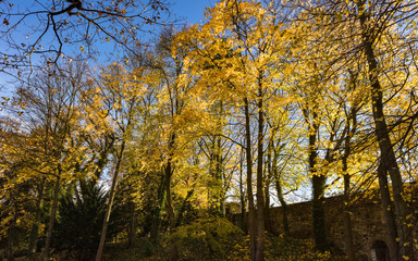 Spaziergang im Herbst