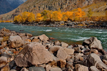 beria. Altai Mountains, Aautumn on the river Chulyshman