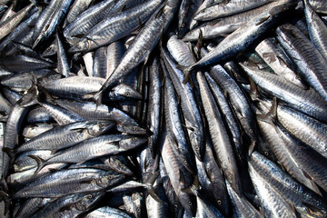 Fresh fish in the traditional market asian