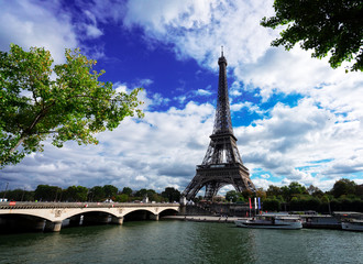 Fototapeta na wymiar Eiffel Tower and Pont dIena with tree, Paris France, retro toned