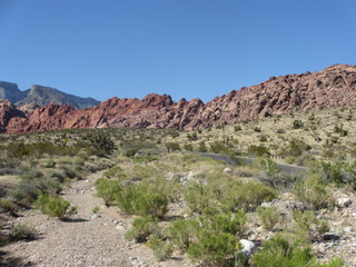 Fototapeta na wymiar Scenery at the Red Rocks in Nevada near Las Vegas, USA
