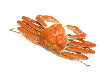 茹でズワイガニ