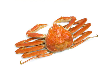 茹でズワイガニ