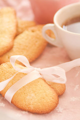 Homemade Savoyardi cookies