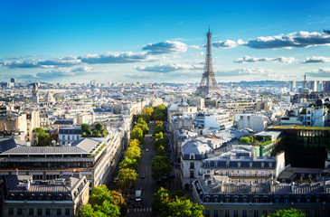 Fototapeta na wymiar panoramic view of famous Eiffel Tower and Paris roofs, Paris France, retro toned