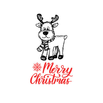 Merry Christmas lettering on white background. Vector hand drawn illustration of toy plush deer.