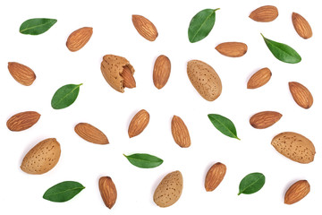 almonds with leaves isolated on white background. Flat lay pattern. Top view