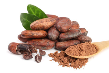 unpeeled cocoa bean with leaf and cocoa powder in wooden spoon isolated on white background