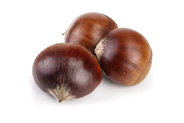 fresh edible chestnut isolated on white background