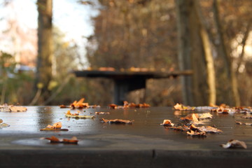 Tischplatte mit Wald als Hintergrund
