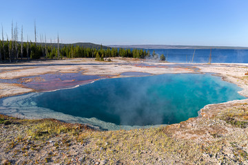 West Thumb Geyser Basin in Yellowstone National Park, USA
