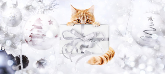 ginger cat and box gift present with silver ribbon bow on christmas balls bright lights background