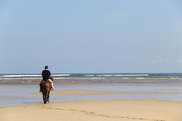 Fototapeta na wymiar Man Riding Horse on beach ocean wave and horse feeder