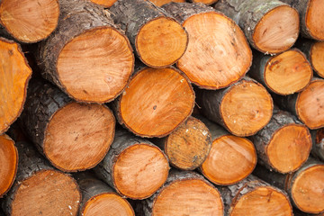 Preparation of firewood for the winter. firewood background.