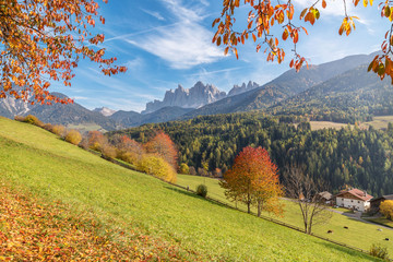Val di Funes in the Dolomites in a autumn sunny day with colored trees, leafs and mountains, Trentino Alto Adige, Italy