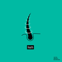 Hair follicle. Cross-section of hair. Brittle hair. Hair loss. hair diseases