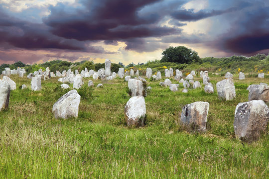 Carnac. Les alignements de M&eacute;nec, Morbihan, Bretagne