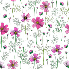 Seamless floral vector pattern, Kosmos flower, kosmeya hand drawn ink sketch, colorful illustration, wild flower astra, design for greeting card, wedding invitation, cosmetic packaging, beauty salon