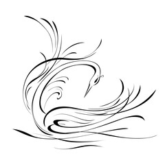 swan 7. graceful Swan floating on the water