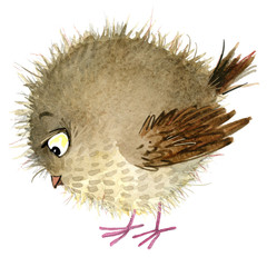 cute owl. watercolor fschool books illustration