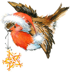 Christmas bird watercolor illustration