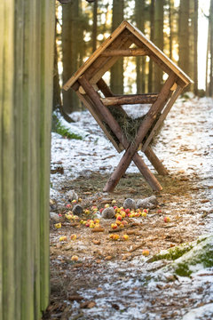 cratch feeder for wild animals in winter forest