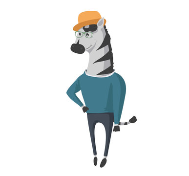 Male zebra in human clothes isolated on white. Vector flat illustration with hipster character.
