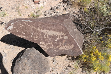 Desert Petroglyph