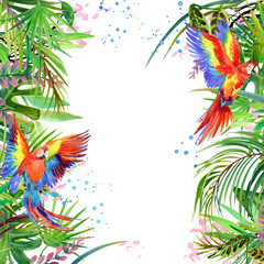 Parrot watercolor. Tropical forest watercolor background. Exotic plant.