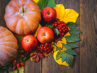 red apples, mountain ash, pumpkin and autumn leaves