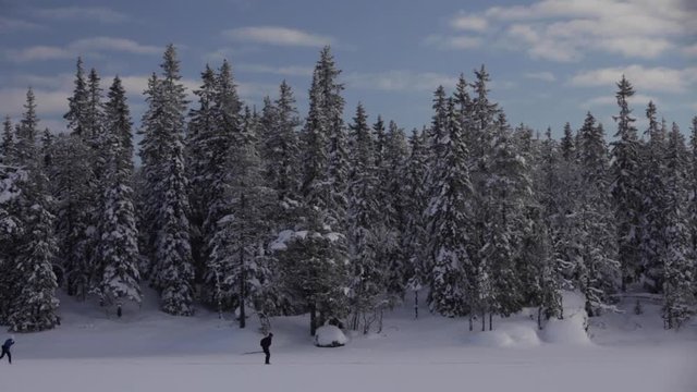 Winter Skiing in the Woods