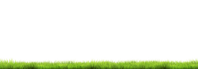 green grass meadow 3d rendering background isolated