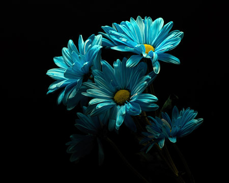 Blue Expression 1112