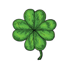 Clover leaf hand drawing vintage style isolate on white background,Happy and lucky day symbol