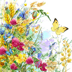 Summer flowers watercolor background