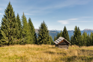Alpine woods landscape with hunting lodge in Western Carinthia, Austria.