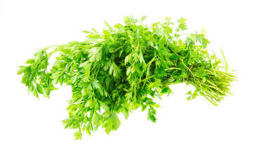 Isolated bunch of fresh garden parsley