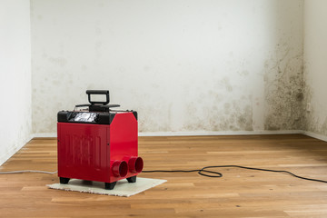 horizontal view of a red dehumidifier in an empty apartment room with a serious toxic mold and...