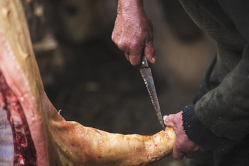 Butcher cuts the pig carcass by knife, Ukraine
