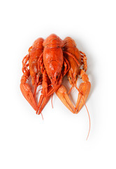 Seafood dish, Red boiled crayfish. Kind of Snacks for beer.