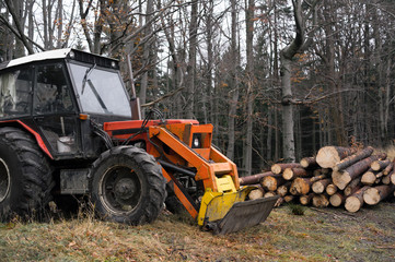 Tractor in the forest - equipment,device, and mechanism for mechanized forestry  and lumberjacking. Utility vehicle is in the woods, trees and logs around old retro machine.