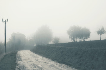 Fototapeta premium Autumnal landscape, countryside in a foggy day